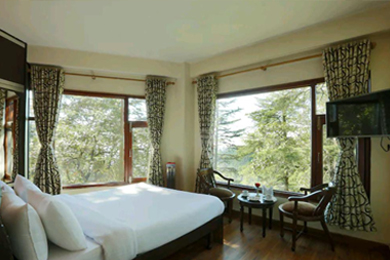 Deluxe Room Forest View